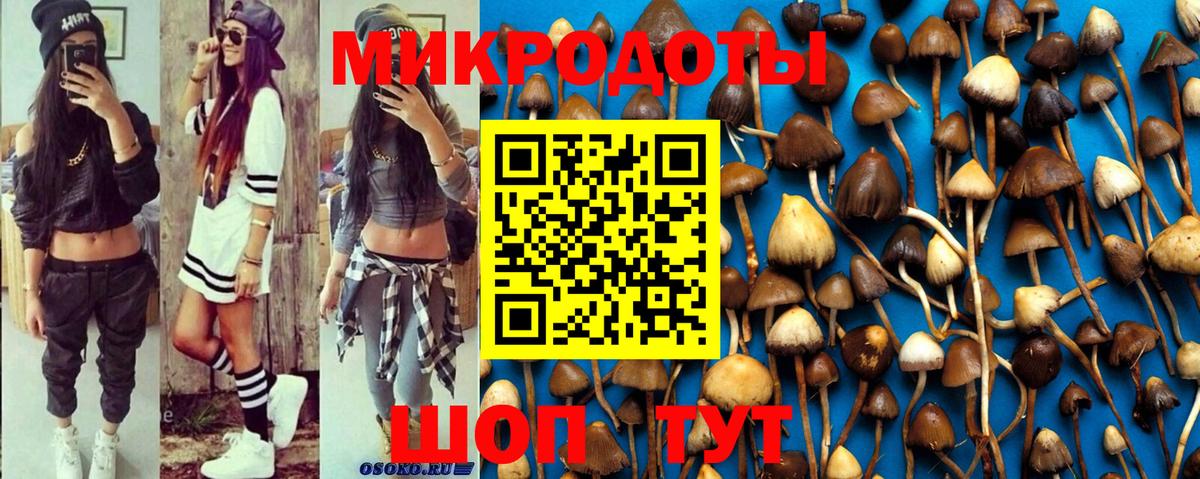 Нерюнгри  Псилоцибиновые грибы мухоморы  Псилоцибиновые грибы прущие грибы  продажа наркотиков  Вход с VPN 