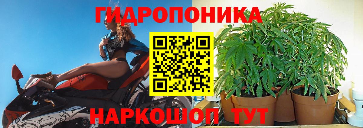 Каннабис планчик Нерюнгри